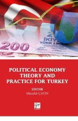 Gazi Kitabevi Political Economy Theory And Practice For Turkey - Mücahit Çayın Gazi Kitabevi