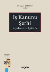 Seçkin İş Kanunu Şerhi - H. Argun Bozkurt Seçkin Yayınları