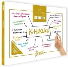 Yetki Şematik İş Hukuku 8. Baskı Yetki Yayıncılık