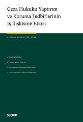 Seçkin Ceza Hukuku Yaptırım ve Koruma Tedbirlerinin İş İlişkisine Etkisi - Gizem Meral Kılınç Seçkin Yayınları