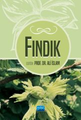 Nobel Fındık - Ali İslam Nobel Akademi Yayınları