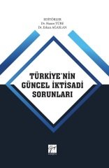 Gazi Kitabevi Türkiye'nin Güncel İktisadi Sorunları - Hasan Türe, Erkan Ağaslan Gazi Kitabevi