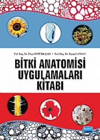 Nobel Bitki Anatomisi ve Uygulamaları Kitabı - İlkay Öztürk Çalı, Feyza Candan Nobel Akademi Yayınları