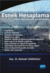 Nobel Esnek Hesaplama - Bahadır Karasulu Nobel Akademi Yayınları
