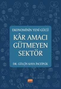 Nobel Ekonominin Yeni Gücü Kâr Gütmeyen Sektör - Gülçin Kaya İnceiplik Nobel Bilimsel Eserler