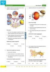 Apotemi YKS AYT Biyoloji Soru Bankası Apotemi Yayınları