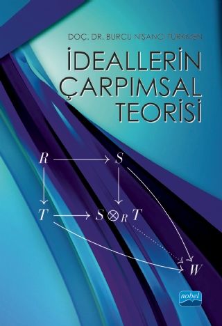 Nobel İdeallerin Çarpımsal Teorisi - Burcu Nişancı Türkmen Nobel Akademi Yayınları