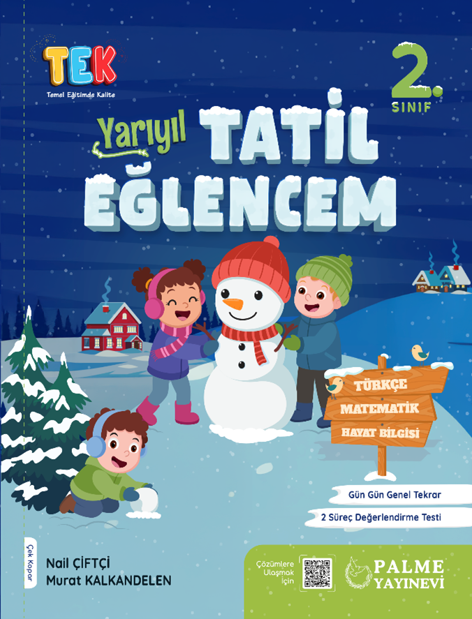 Palme 2. Sınıf TEK Yarıyıl Tatil Eğlencem Palme Yayınları