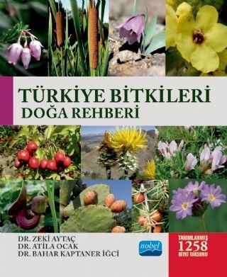 Nobel Türkiye Bitkileri Doğa Rehberi - Zeki Aytaç, Atila Ocak, Bahar Kaptaner İğci Nobel Akademi Yayınları