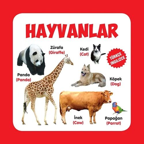Türkçe İngilizce Hayvanlar Parıltı Yayınları