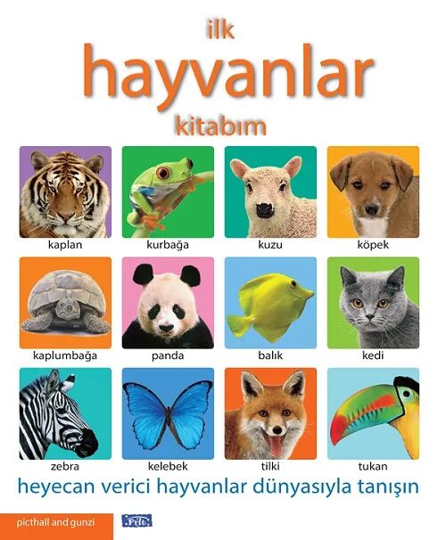 İlk Hayvanlar Kitabım Parıltı Yayınları