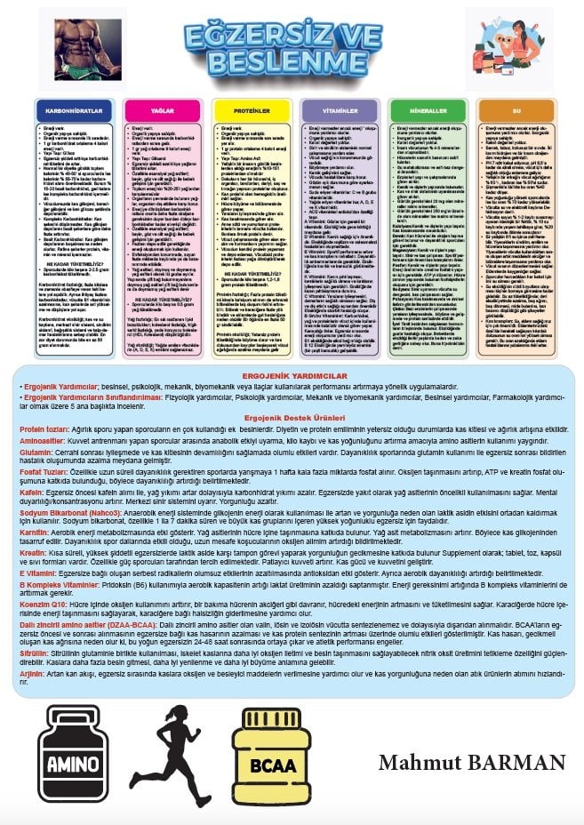 Dizgi Kitap ÖABT Beden Eğitimi Öğretmenliği Beslenme ve Egzersiz Poster Notlar - Mahmut Barman Dizgi Kitap Yayınları