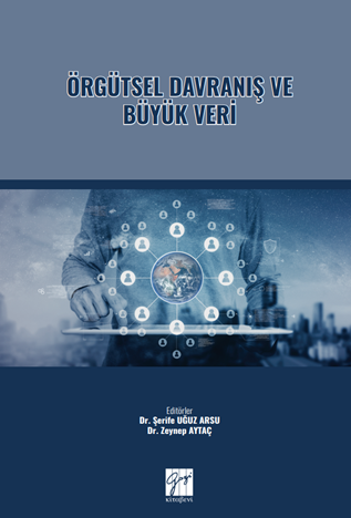 Gazi Kitabevi Örgütsel Davranış ve Büyük Veri - Şerife Uğuz Arsu, Zeynep Aytaç Gazi Kitabevi