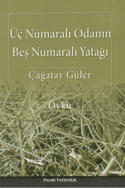 Palme Üç Numaralı Odanın Beş Numaralı Yatağı - Çağatay Güler Palme Akademik Yayınları