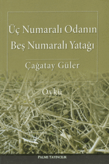 Palme Üç Numaralı Odanın Beş Numaralı Yatağı - Çağatay Güler Palme Akademik Yayınları