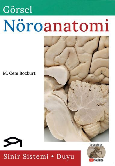 Pegem Görsel Nöroanatomi - M. Cem Bozkurt Pegem Akademi Yayıncılık